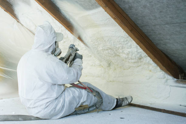 Best Attic Insulation Installation in Fremont, OH