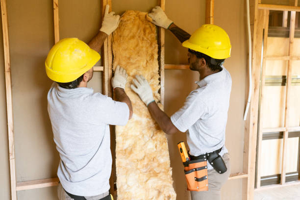 Best Commercial Insulation Services in Fremont, OH