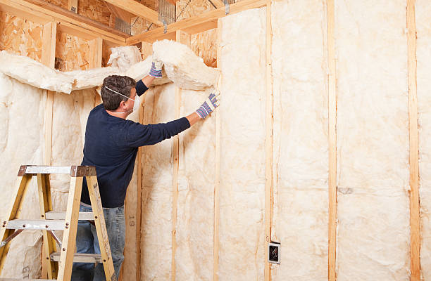 Best Basement Insulation in Fremont, OH